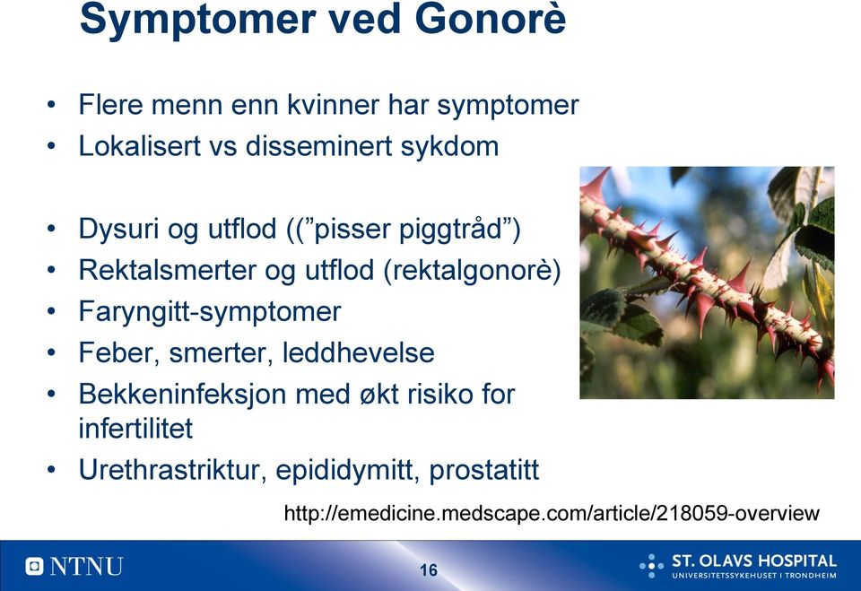 Faryngitt-symptomer Feber, smerter, leddhevelse Bekkeninfeksjon med økt risiko for