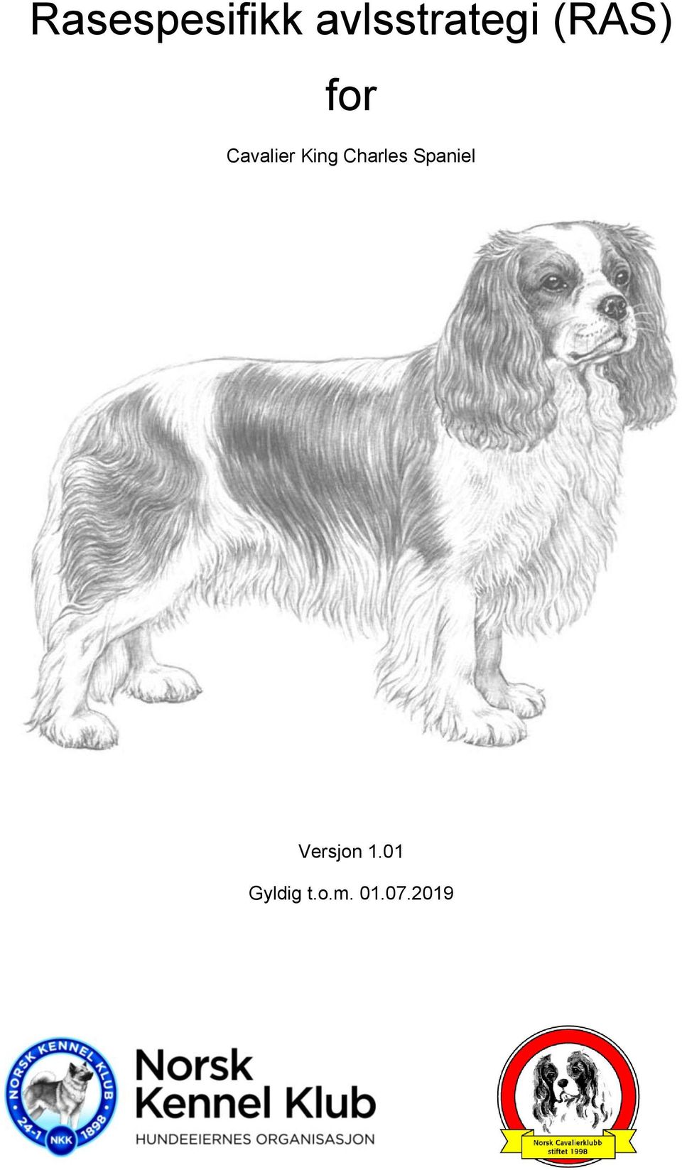 Cavalier King Charles