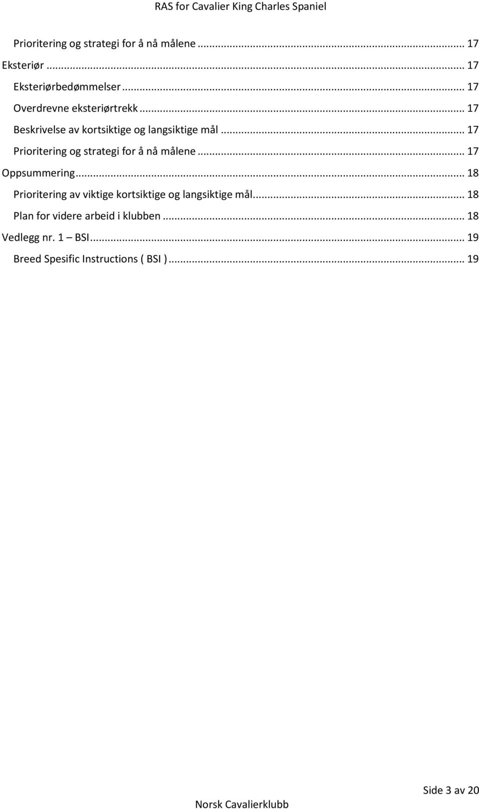 .. 17 Prioritering og strategi for å nå målene... 17 Oppsummering.