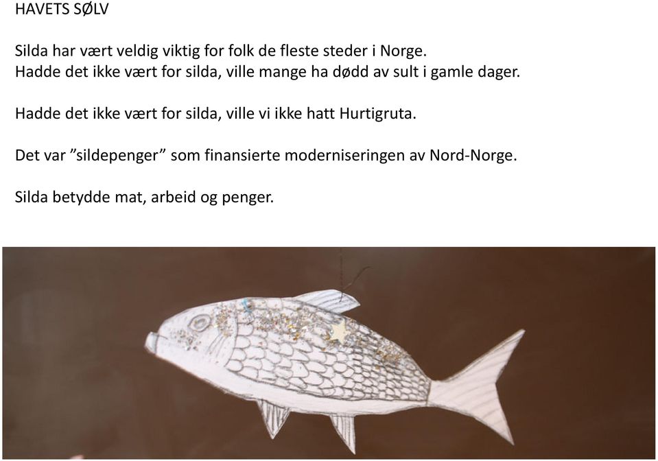 Hadde det ikke vært for silda, ville vi ikke hatt Hurtigruta.