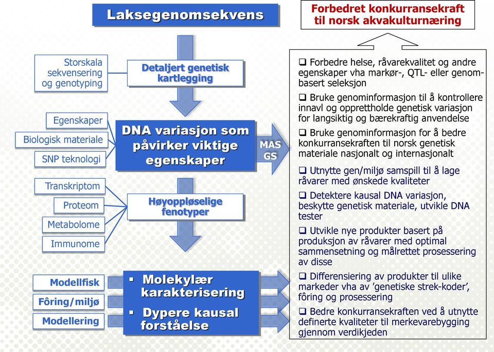 opprettholde genetisk variasjon for langsiktig og bærekraftig anvendelse Bruke genominformasjon for å bedre konkurransekraften til norsk genetisk materiale nasjonalt og internasjonalt Utnytte