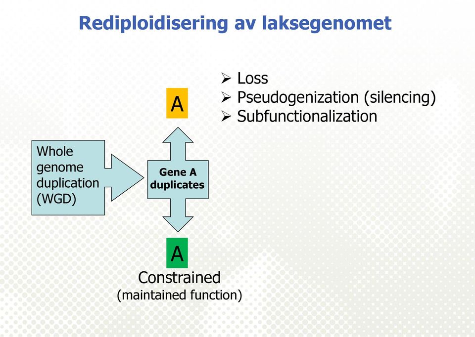 Subfunctionalization Whole genome