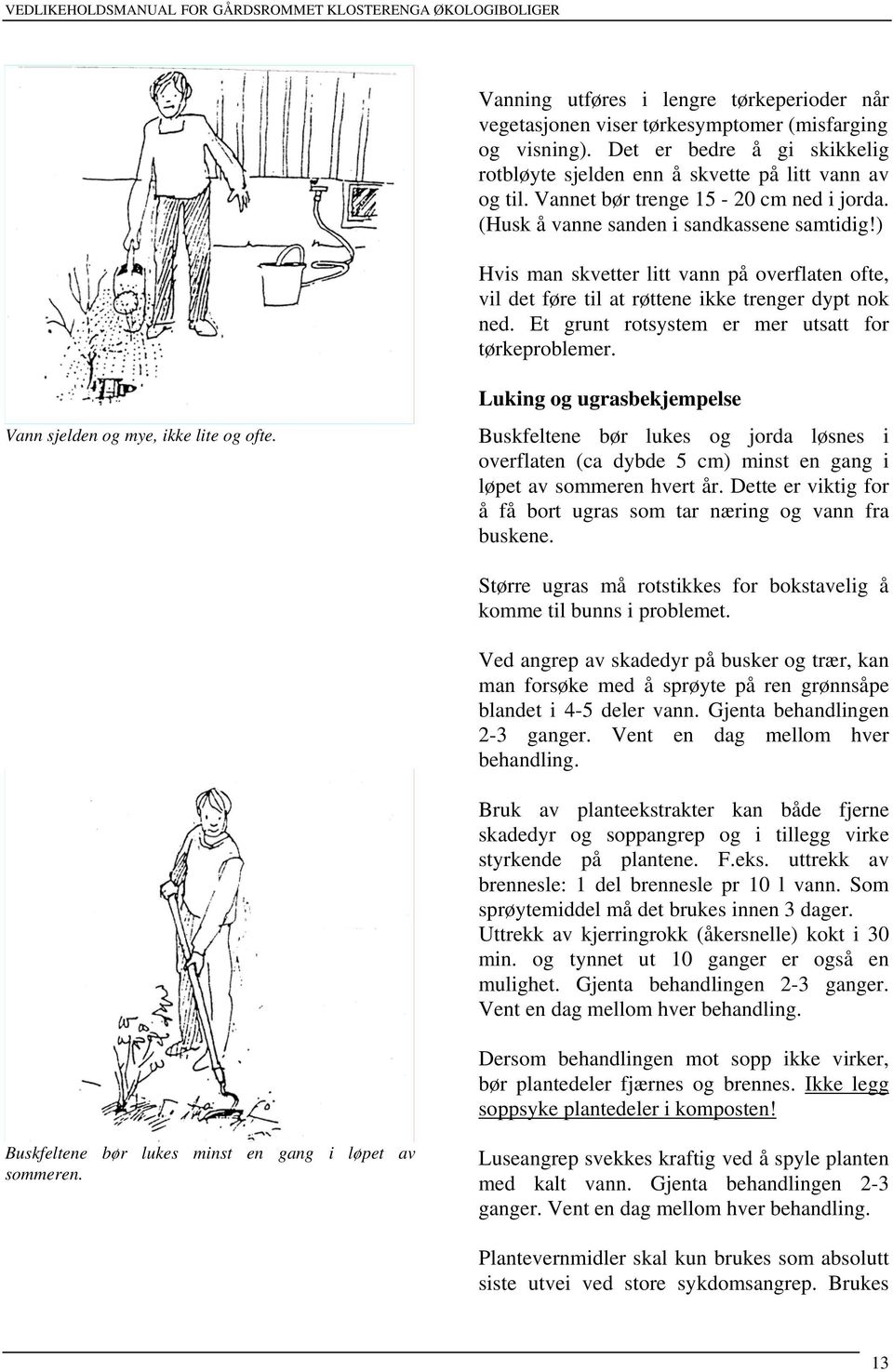 Et grunt rotsystem er mer utsatt for tørkeproblemer. Vann sjelden og mye, ikke lite og ofte.