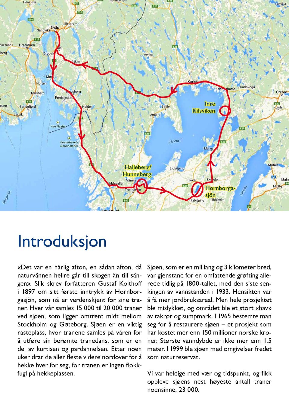 Hver vår samles 15 000 til 20 000 traner ved sjøen, som ligger omtrent midt mellom Stockholm og Gøteborg.