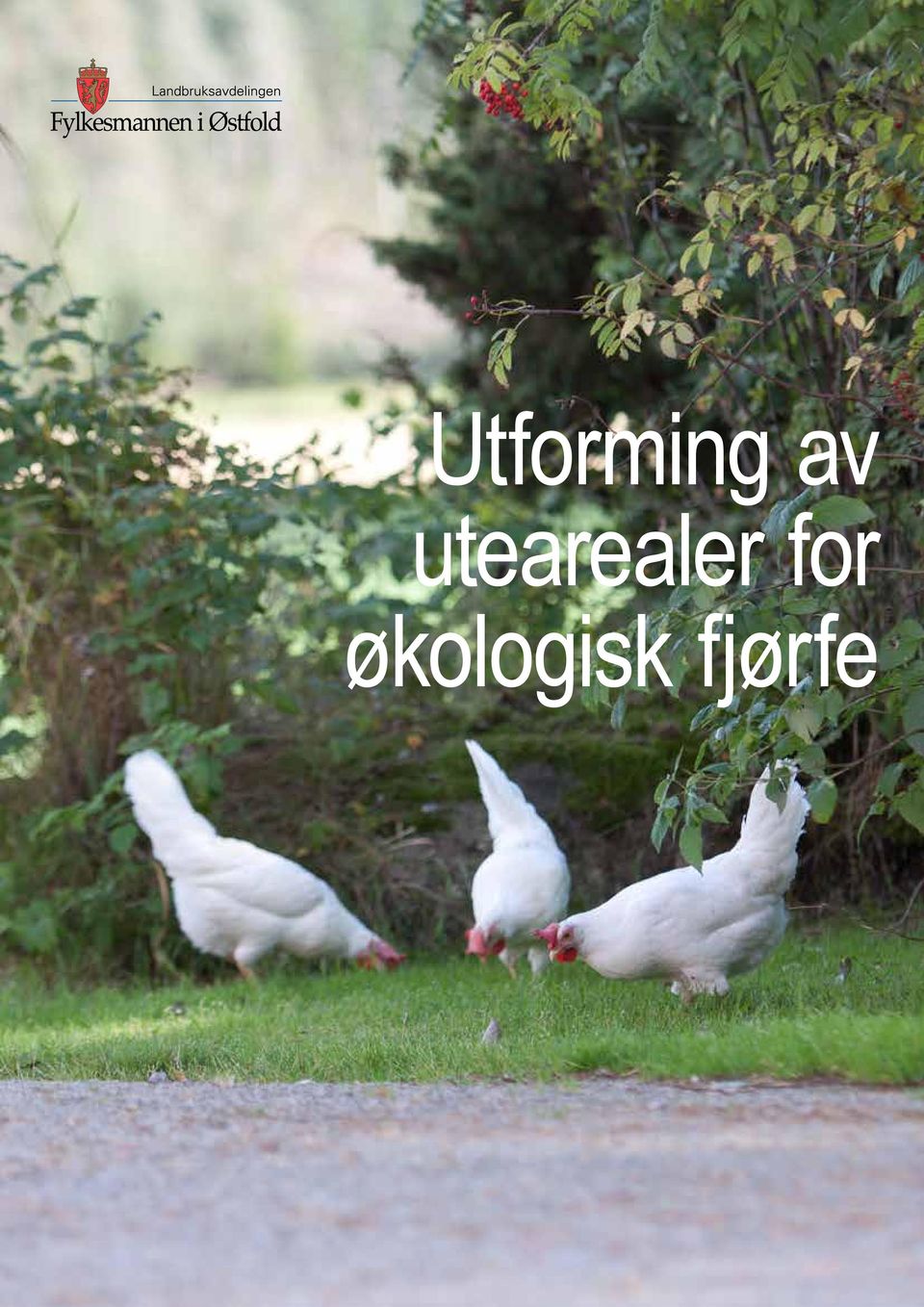 utearealer