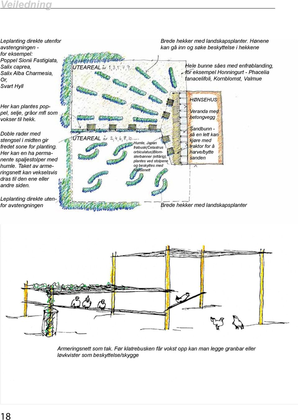 vokser til hekk. Hønsehus Veranda med betongvegg Doble rader med stengsel i midten gir fredet sone for planting. Her kan en ha permanente spaljestolper med humle.