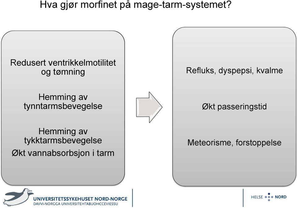 kvalme Hemming av tynntarmsbevegelse Økt passeringstid