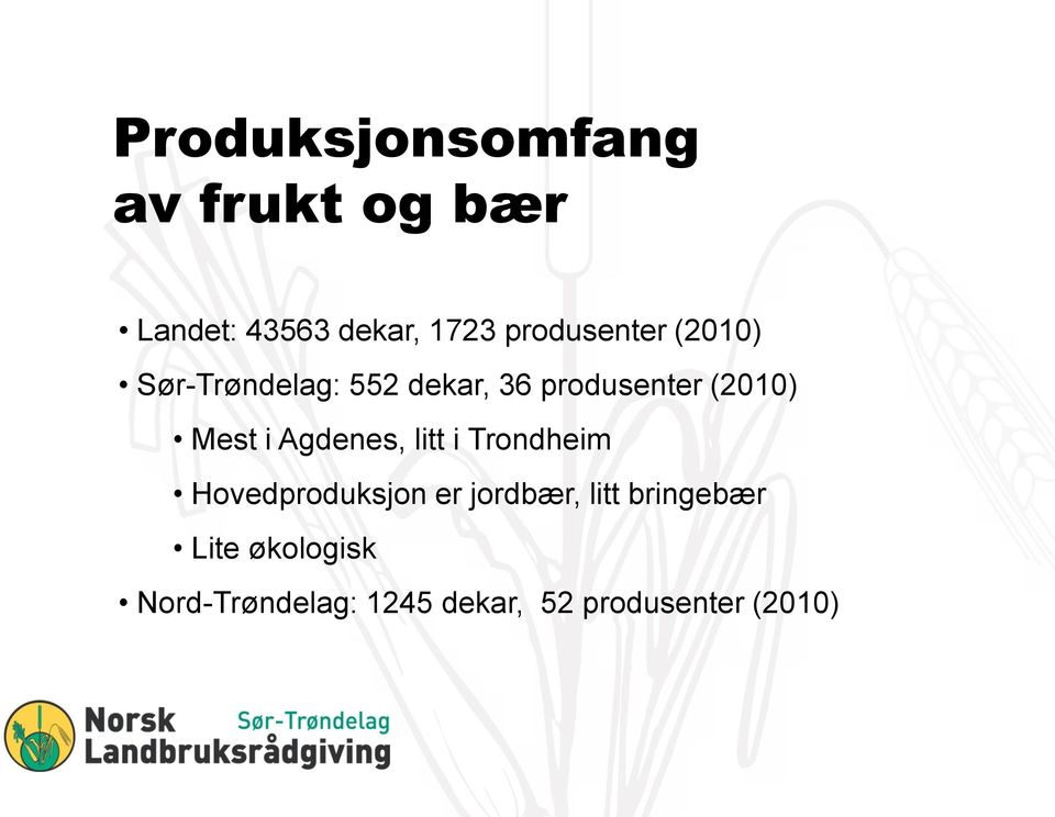 Mest i Agdenes, litt i Trondheim Hovedproduksjon er jordbær, litt