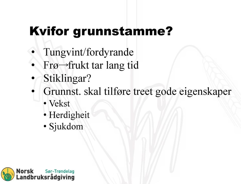 lang tid Stiklingar? Grunnst.