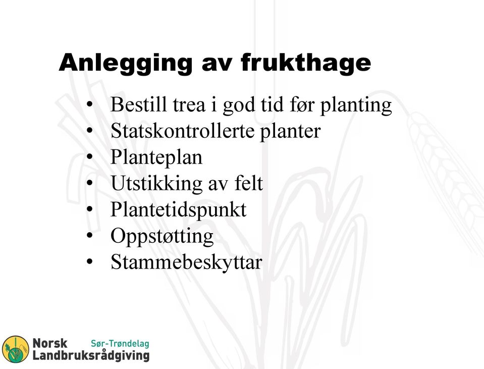 planter Planteplan Utstikking av felt