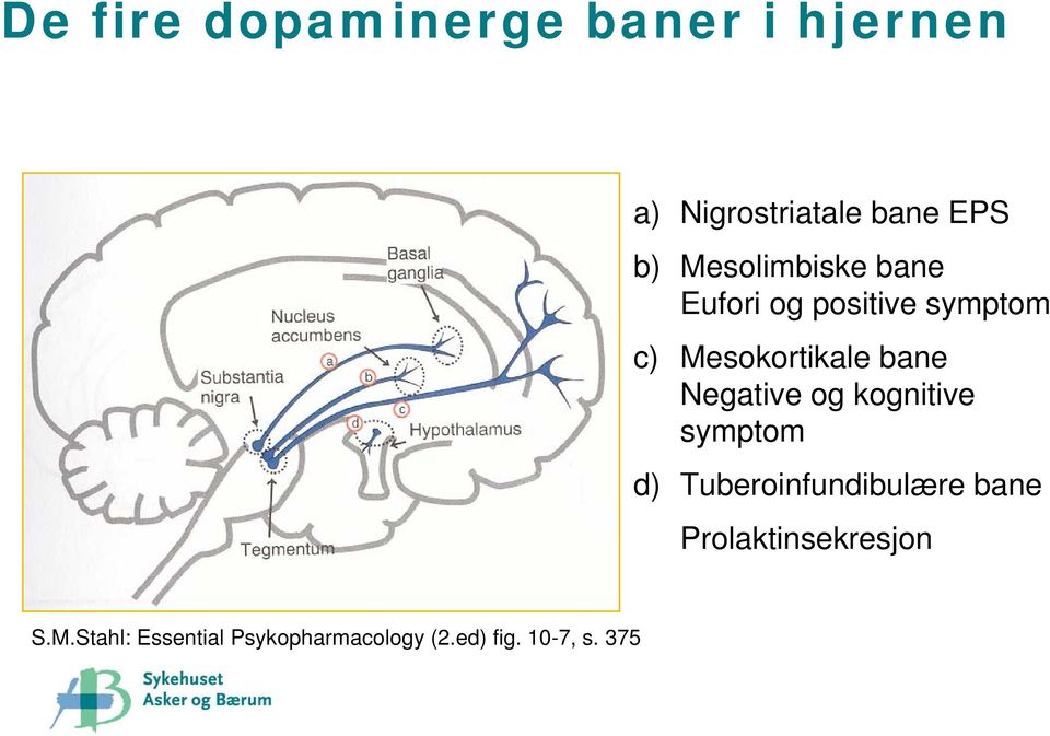 Negative og kognitive symptom d) Tuberoinfundibulære bane