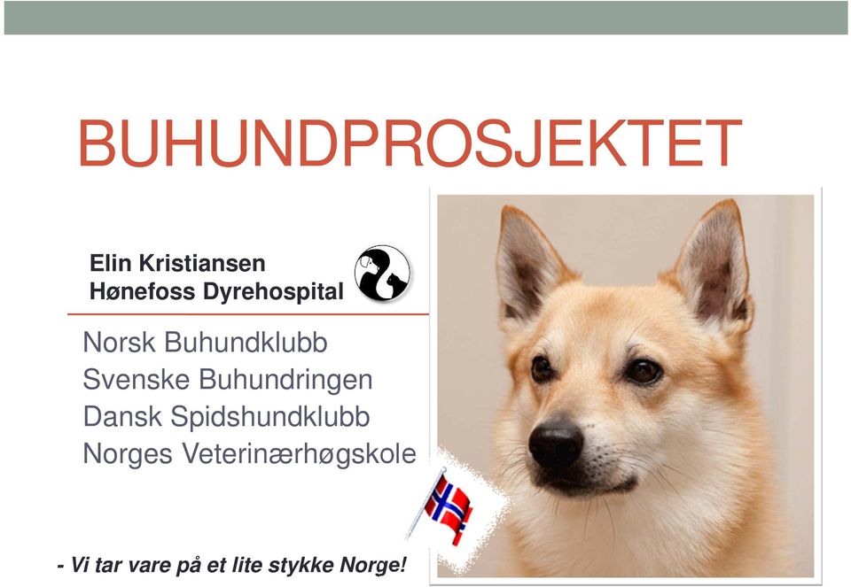 Buhundringen Dansk Spidshundklubb Norges