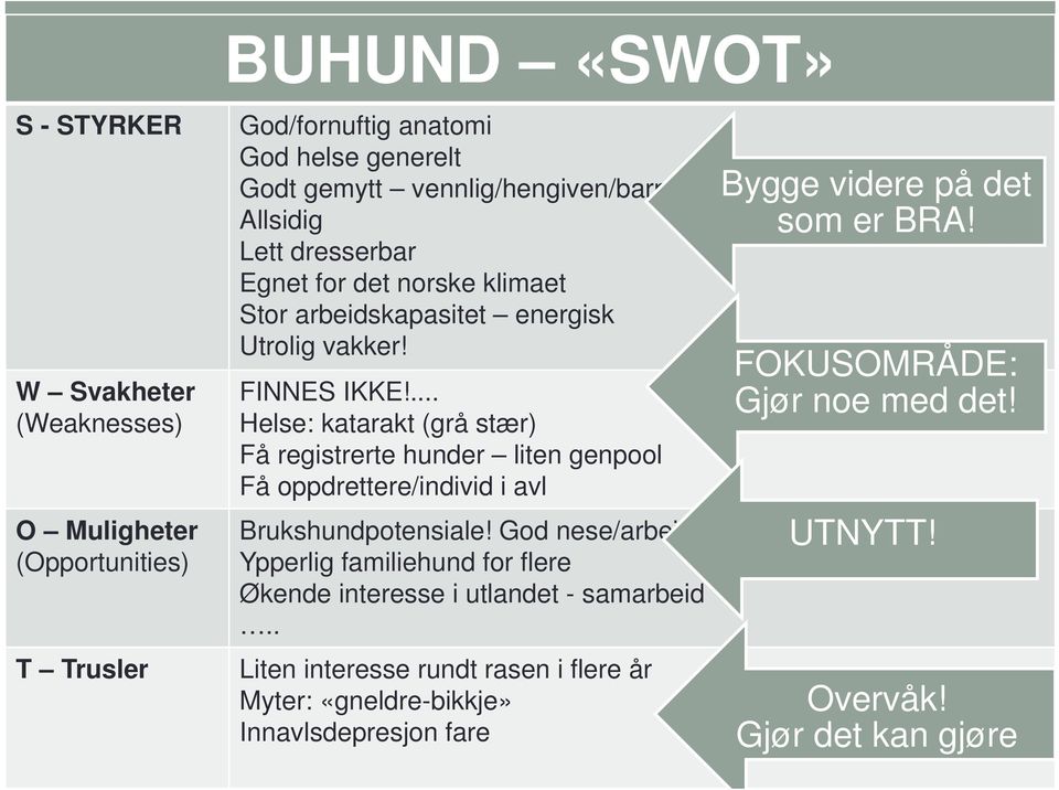 ... Helse: katarakt (grå stær) Få registrerte hunder liten genpool Få oppdrettere/individ i avl Brukshundpotensiale! God nese/arbeidsvillig narkohund?