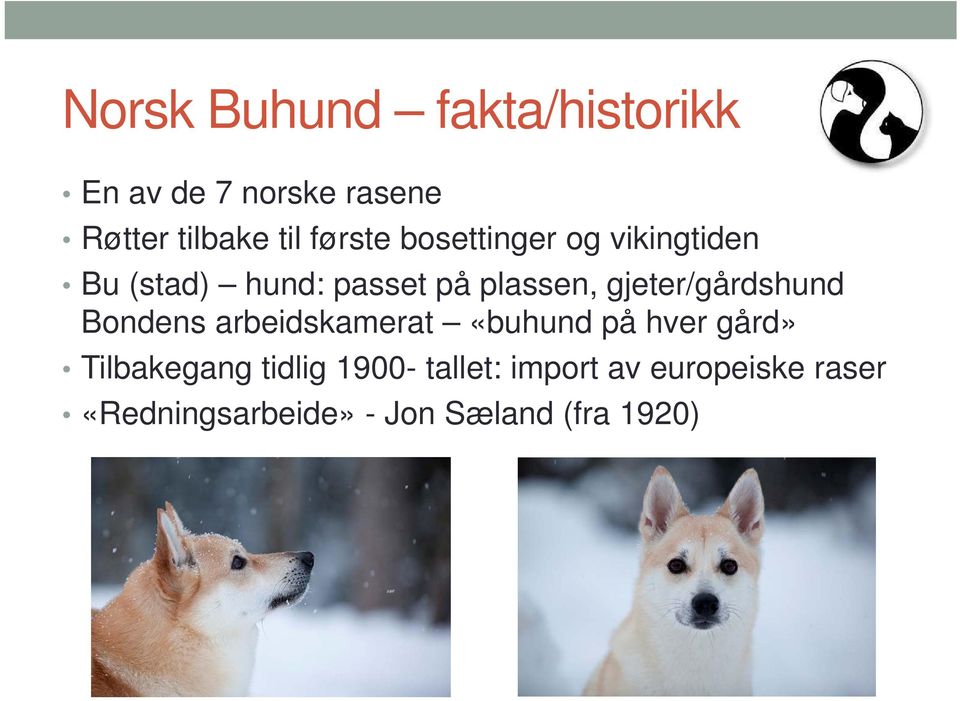 gjeter/gårdshund Bondens arbeidskamerat «buhund på hver gård» Tilbakegang