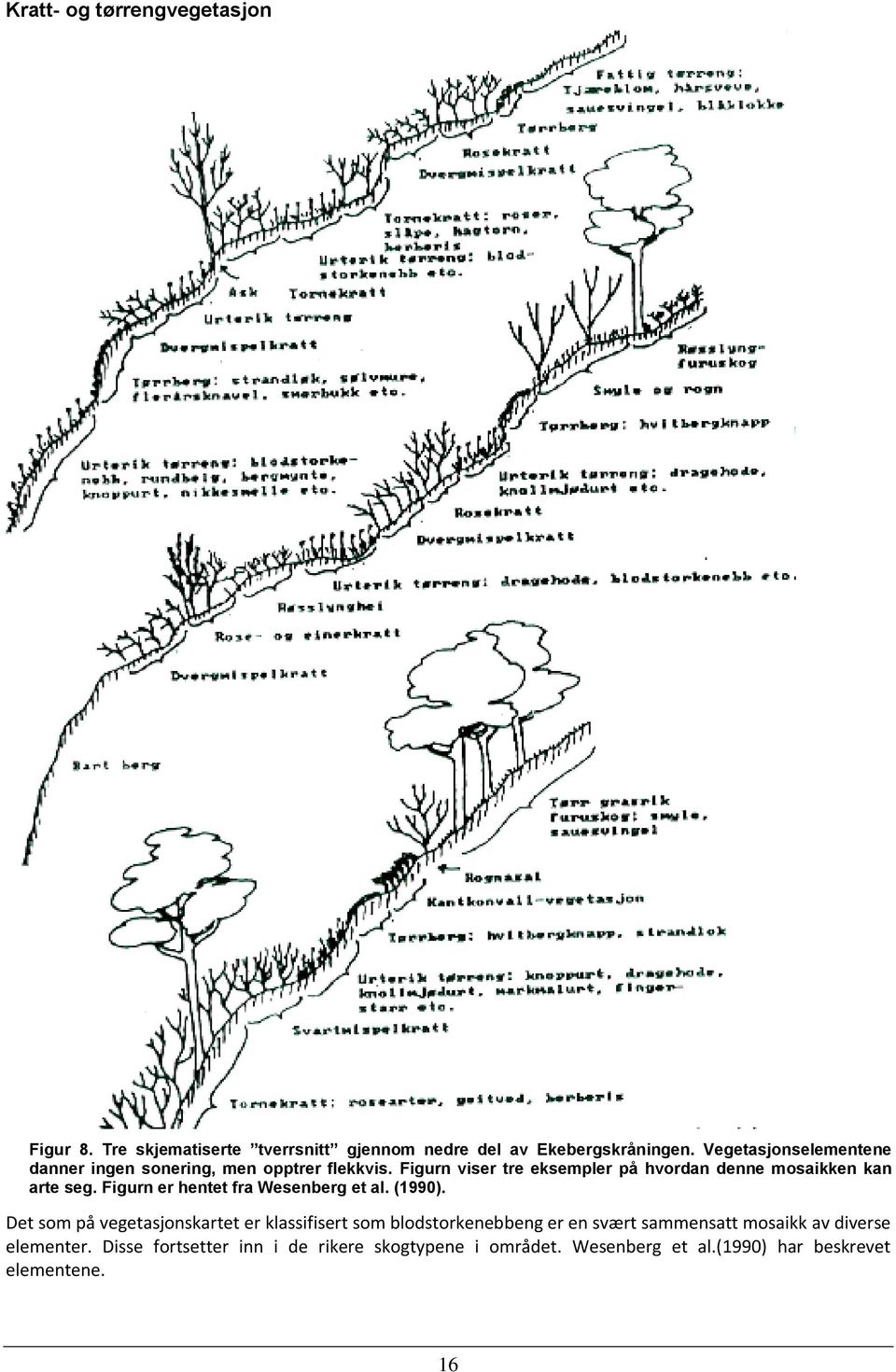 Figurn viser tre eksempler på hvordan denne mosaikken kan arte seg. Figurn er hentet fra Wesenberg et al. (1990).