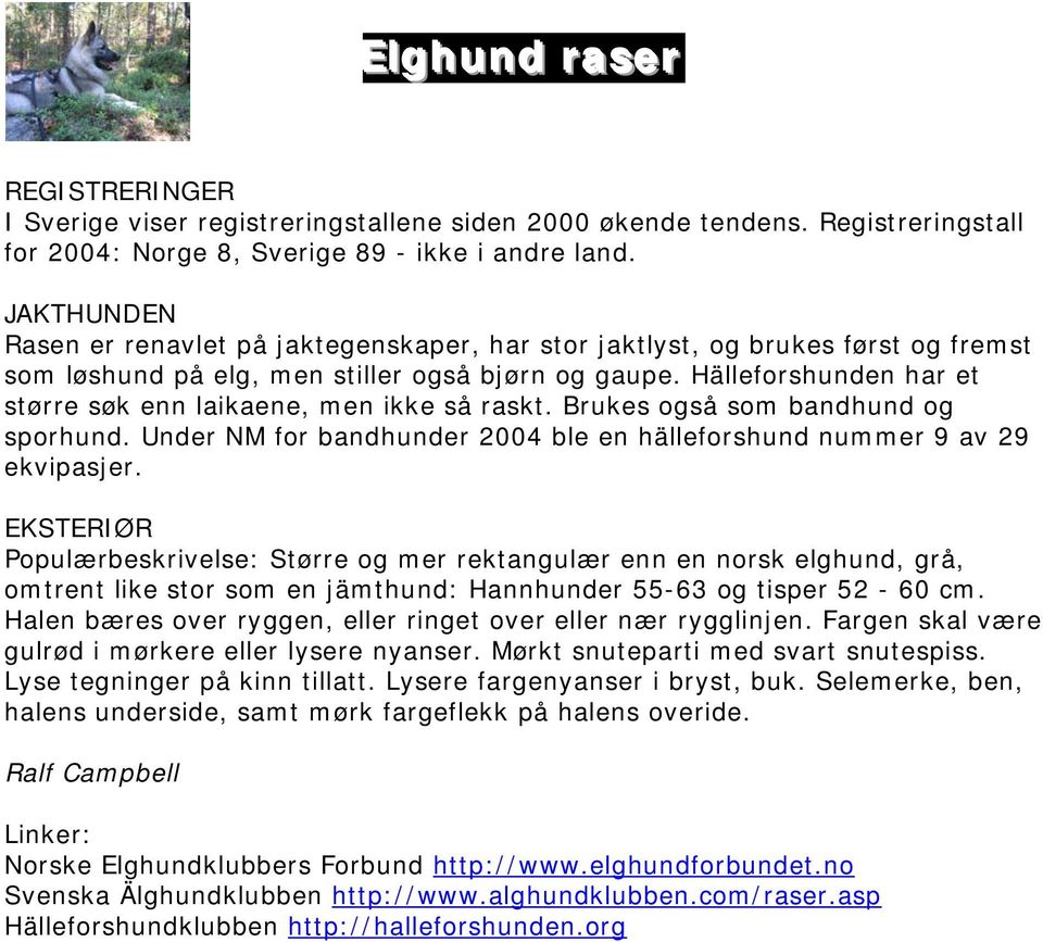 Hälleforshunden har et større søk enn laikaene, men ikke så raskt. Brukes også som bandhund og sporhund. Under NM for bandhunder 2004 ble en hälleforshund nummer 9 av 29 ekvipasjer.