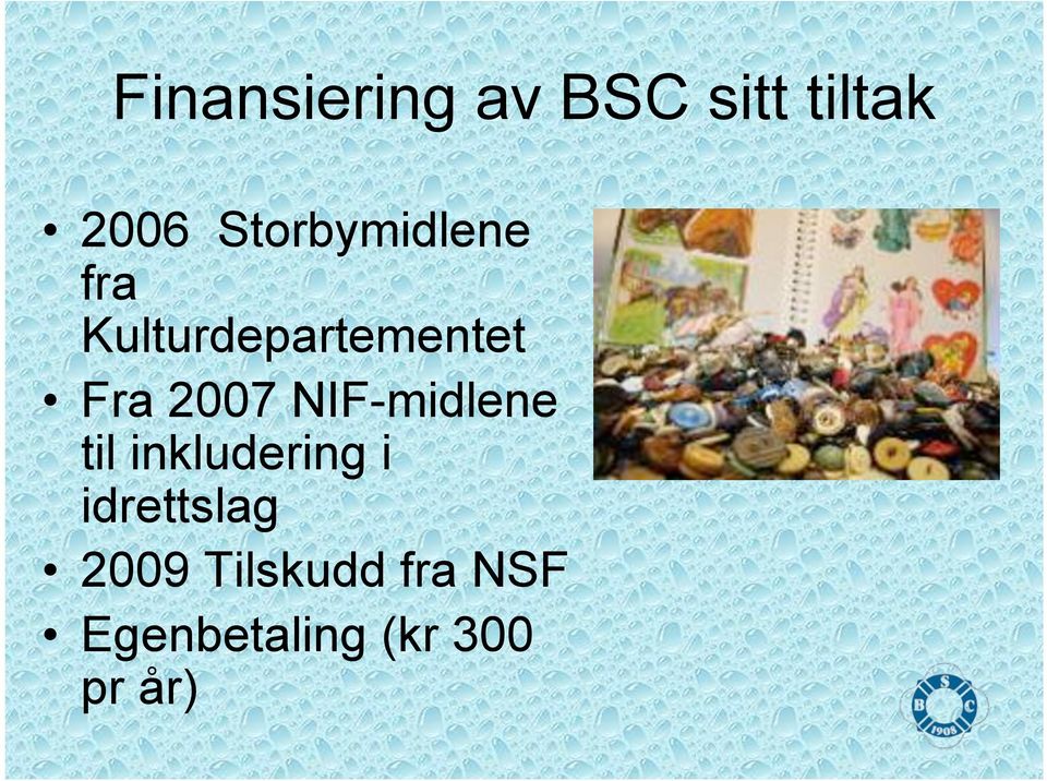 2007 NIF-midlene til inkludering i