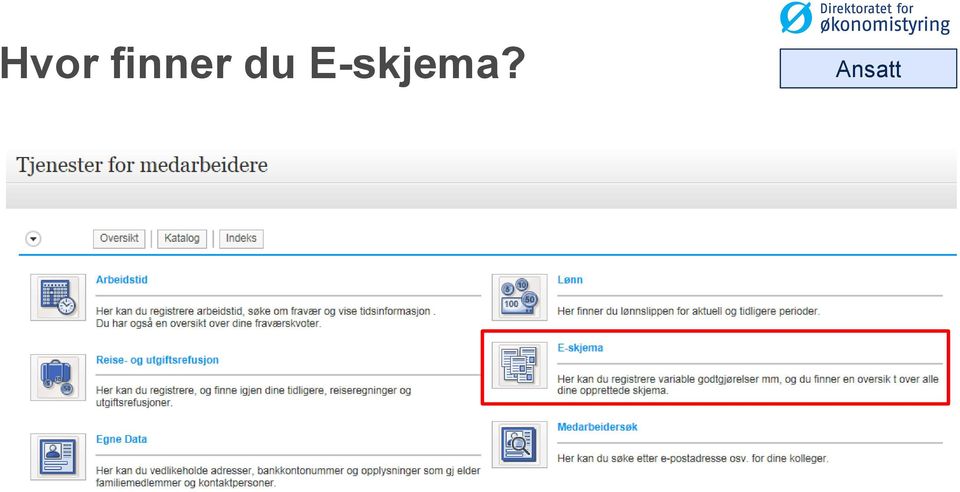 E-skjema?