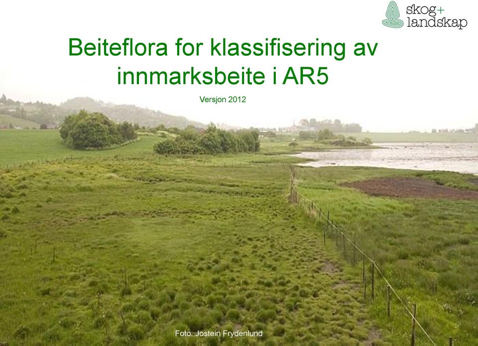 innmarksbeite i AR5