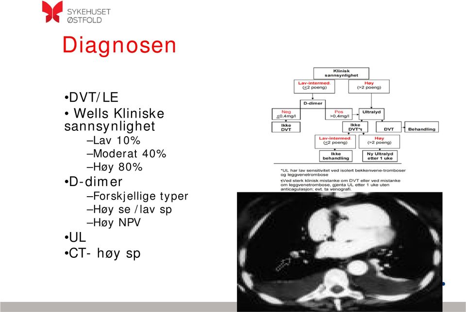 Høy 80% D-dimer Forskjellige typer