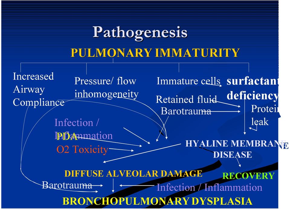 fluid deficiecy Protei Barotrauma leak HYALINE HYALINEMEMBRANE MEMBRANE DISEASE