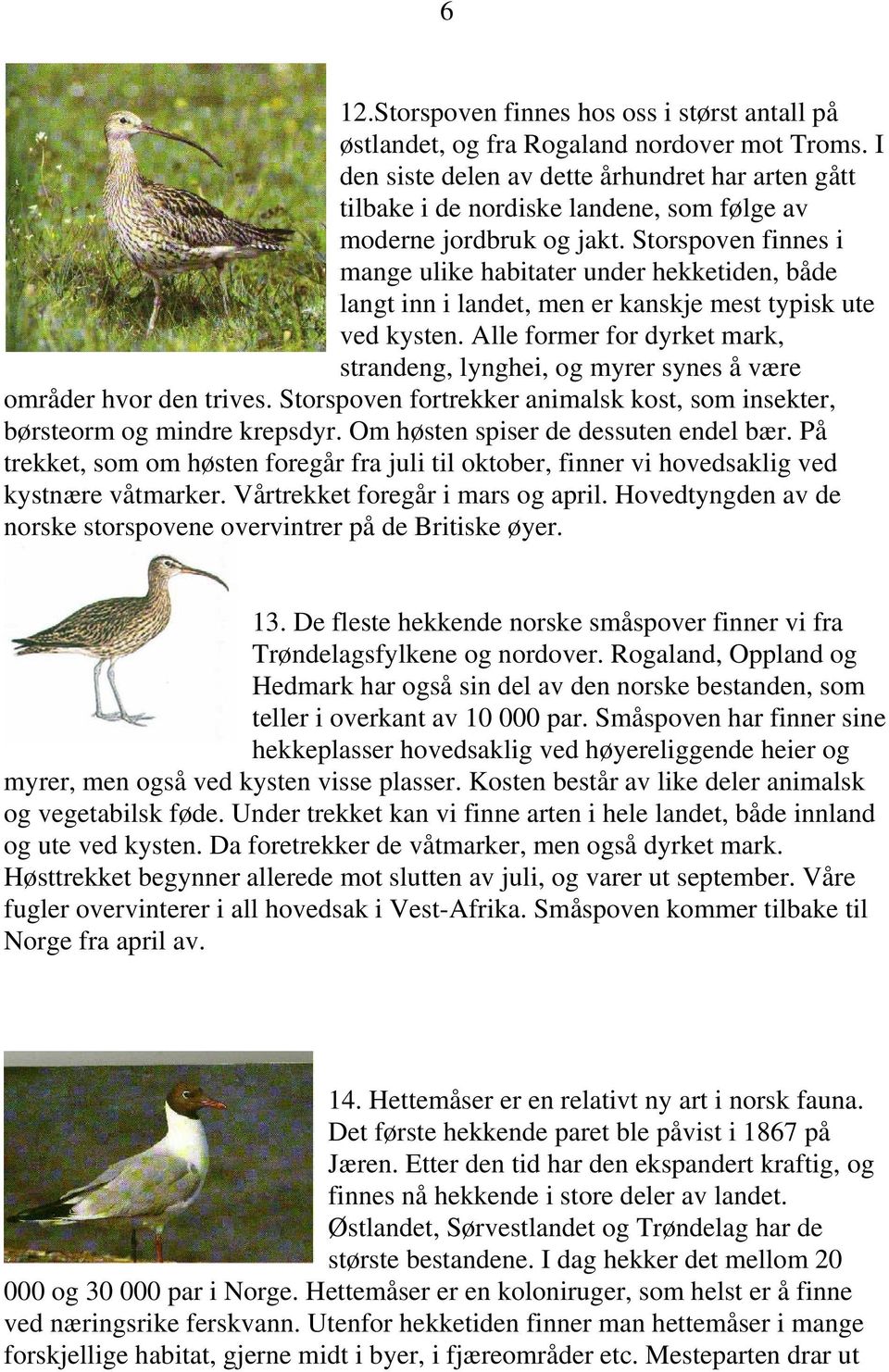 Storspoven finnes i mange ulike habitater under hekketiden, både langt inn i landet, men er kanskje mest typisk ute ved kysten.