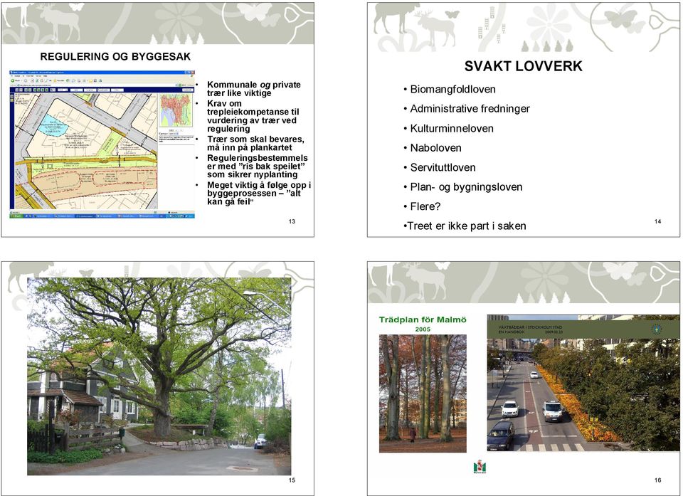 nyplanting Meget viktig å følge opp i byggeprosessen alt kan gå feil 13 SVAKT LOVVERK Biomangfoldloven