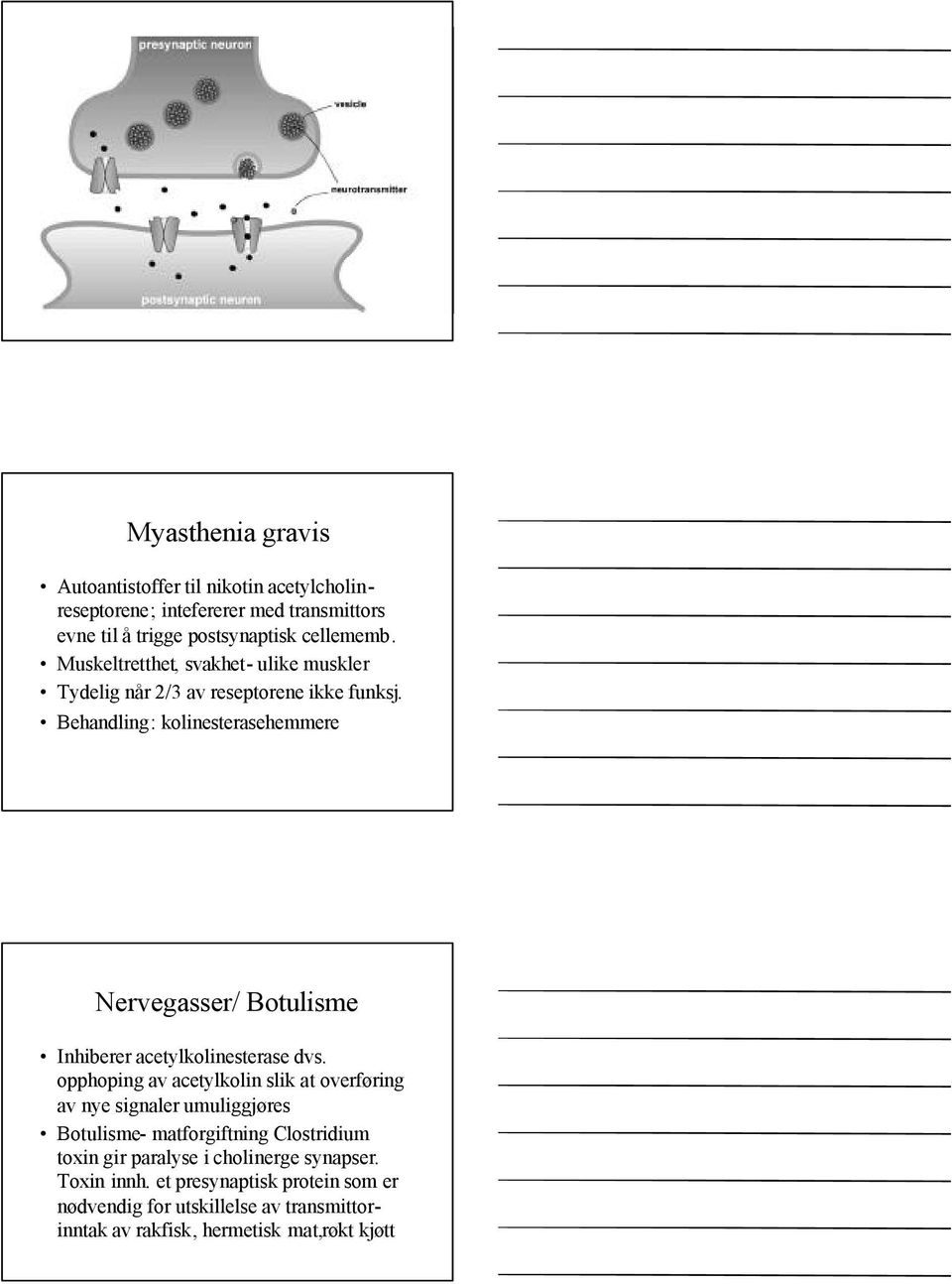 Behandling: kolinesterasehemmere Nervegasser/ Botulisme Inhiberer acetylkolinesterase dvs.