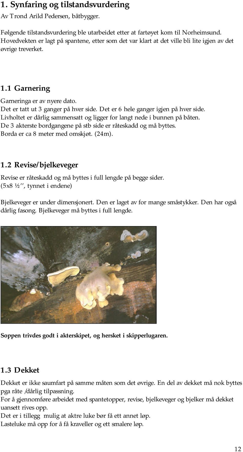 Det er 6 hele ganger igjen på hver side. Livholtet er dårlig sammensatt og ligger for langt nede i bunnen på båten. De 3 akterste bordgangene på stb side er råteskadd og må byttes.