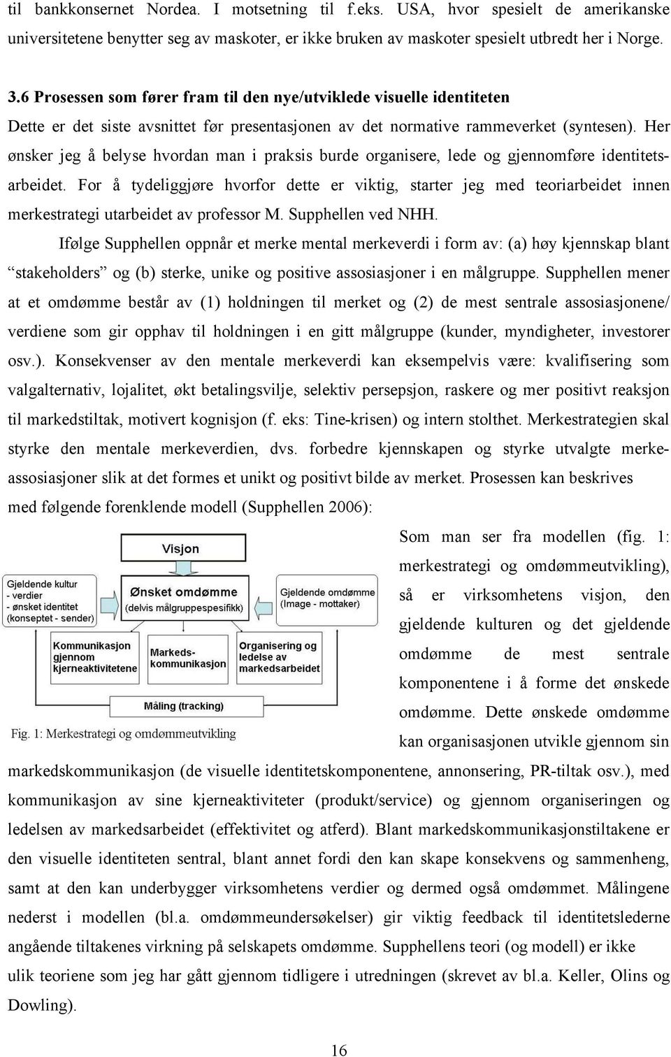 Her ønsker jeg å belyse hvordan man i praksis burde organisere, lede og gjennomføre identitetsarbeidet.