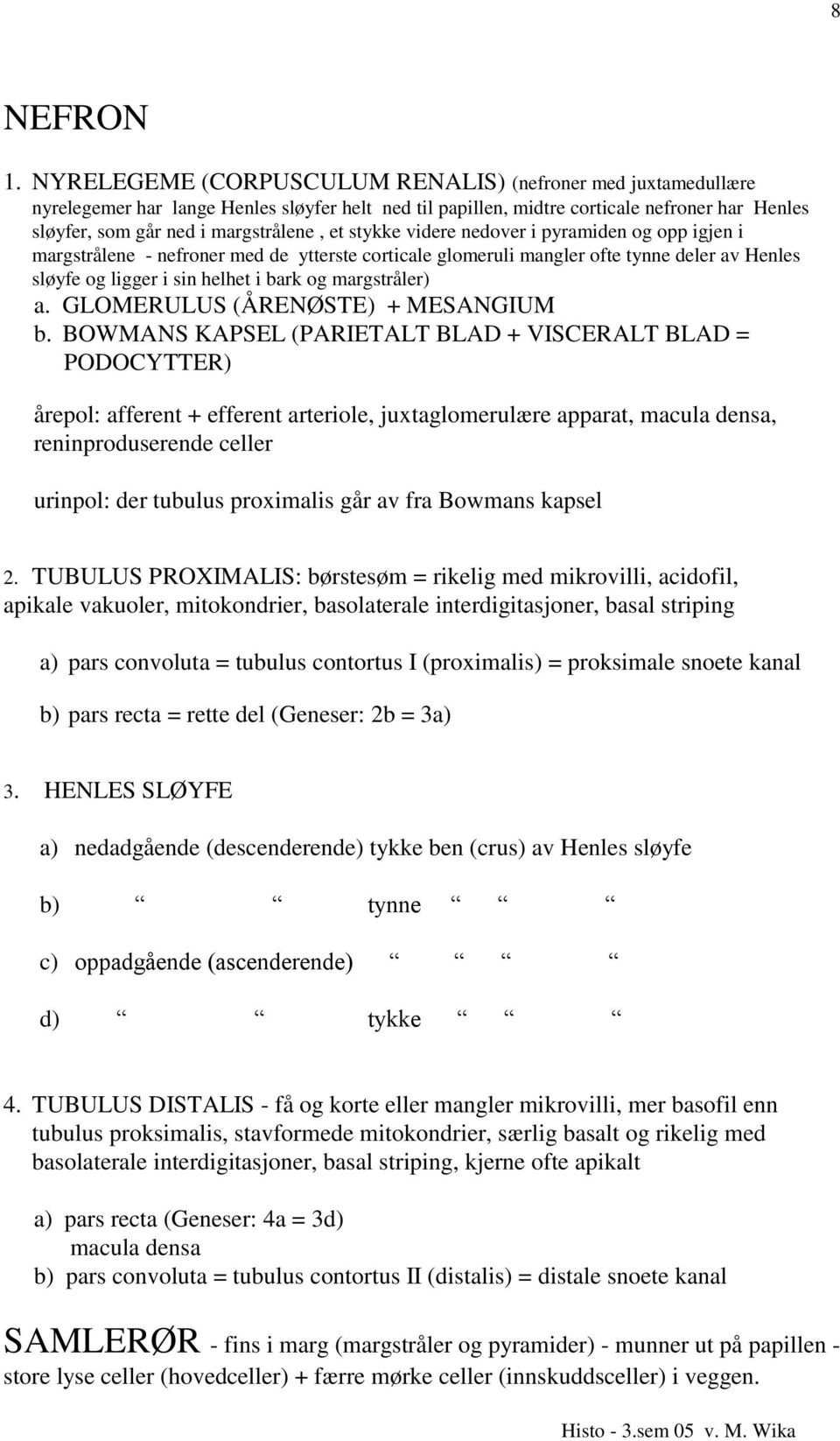 stykke videre nedover i pyramiden og opp igjen i margstrålene - nefroner med de ytterste corticale glomeruli mangler ofte tynne deler av Henles sløyfe og ligger i sin helhet i bark og margstråler) a.