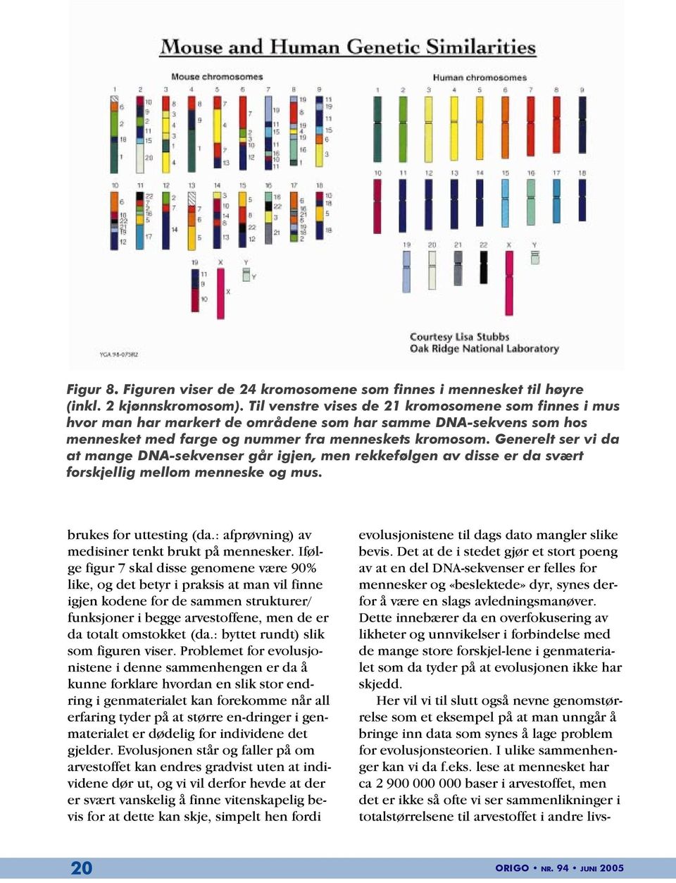 Generelt ser vi da at mange DNA-sekvenser går igjen, men rekkefølgen av disse er da svært forskjellig mellom menneske og mus. brukes for uttesting (da.