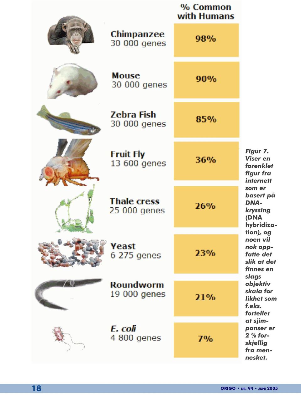 (DNA hybridization), og noen vil nok oppfatte det slik at det finnes