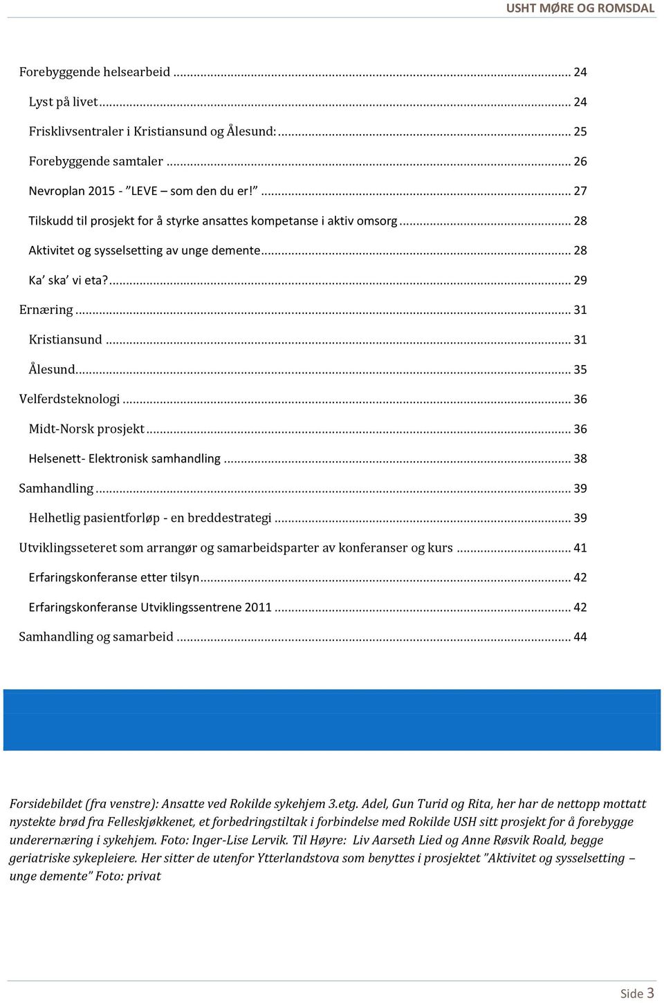 .. 35 Velferdsteknologi... 36 Midt-Norsk prosjekt... 36 Helsenett- Elektronisk samhandling... 38 Samhandling... 39 Helhetlig pasientforløp - en breddestrategi.