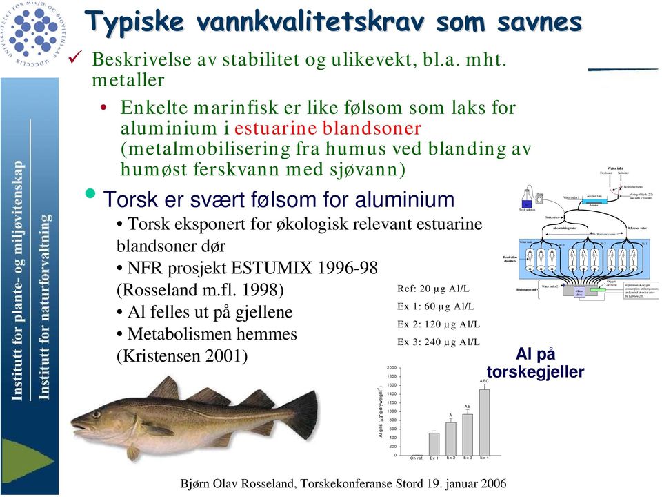 Torsk eksponert for økologisk relevant estuarine blandsoner dør NFR prosjekt ESTUMIX 1996-98 (Rosseland m.fl.