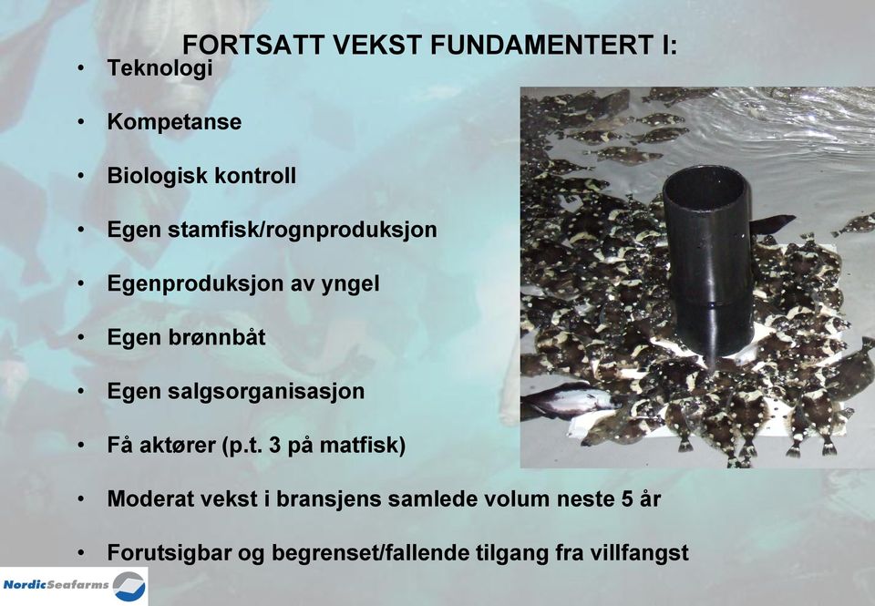 salgsorganisasjon Få aktø