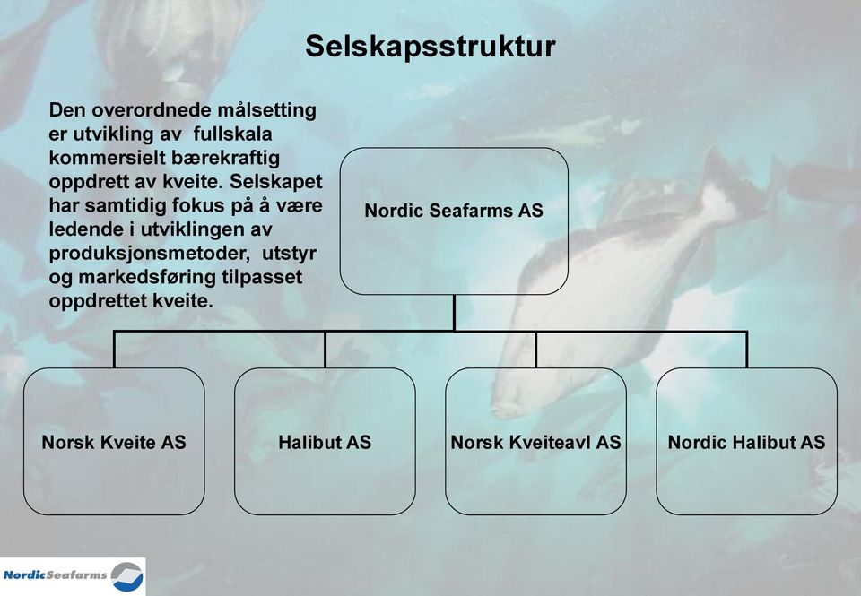 Selskapet har samtidig fokus på å være ledende i utviklingen av produksjonsmetoder,