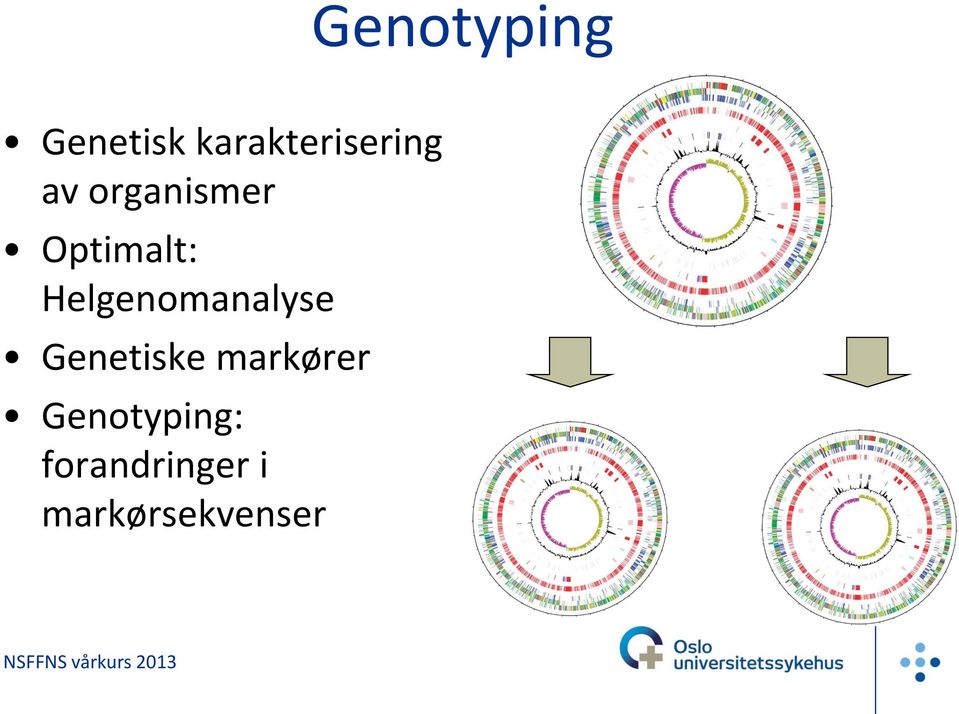 Optimalt: Helgenomanalyse