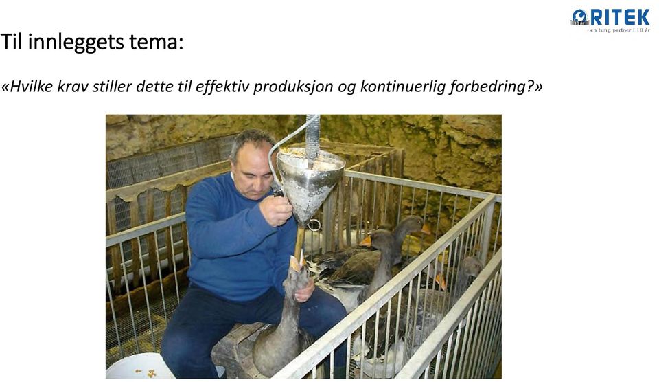 og kontinuerlig forbedring?