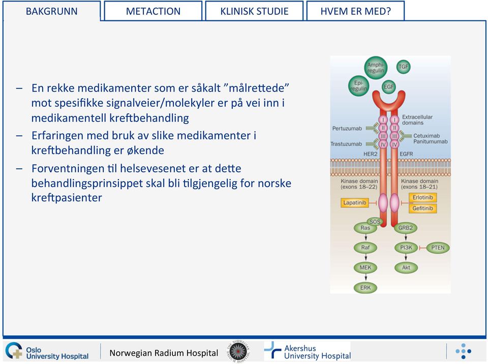 på vei inn i medikamentell kre7behandling Erfaringen med bruk av slike medikamenter i