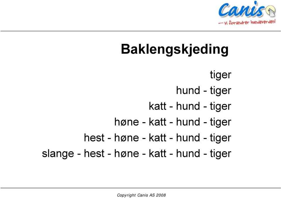 tiger hest - høne - katt - hund - tiger