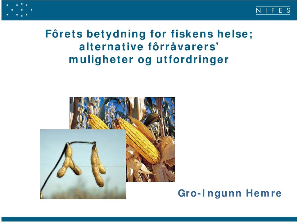 alternative fôrråvarers