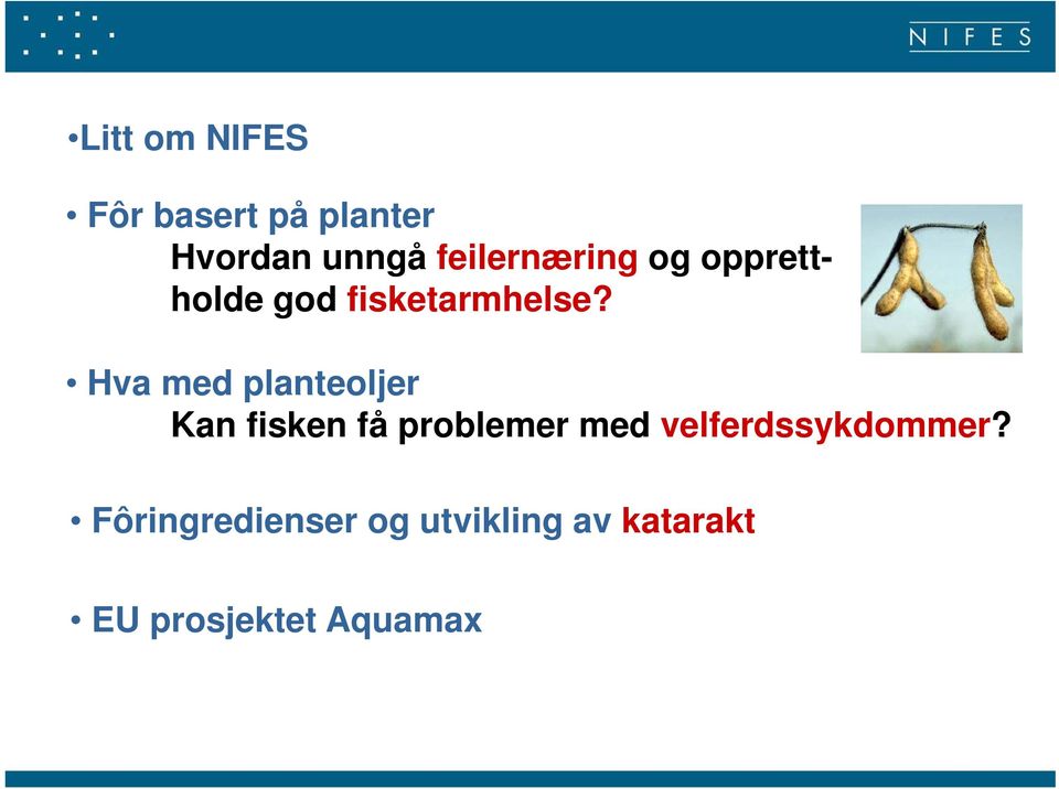 Hva med planteoljer Kan fisken få problemer med