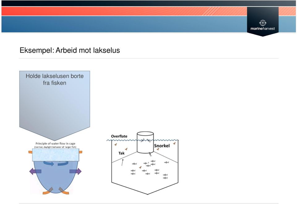 Skjørt Bubble curtain Elektrogjerde Dypvannsfôring Holde fisken