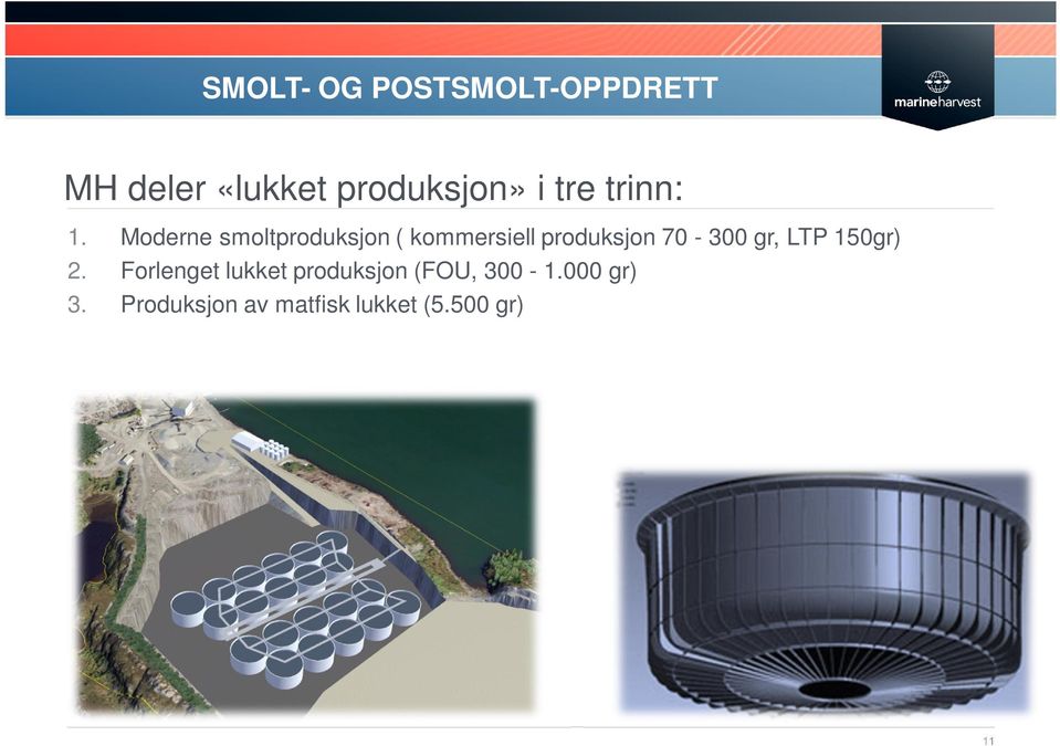 Moderne smoltproduksjon ( kommersiell produksjon 70-300 gr,