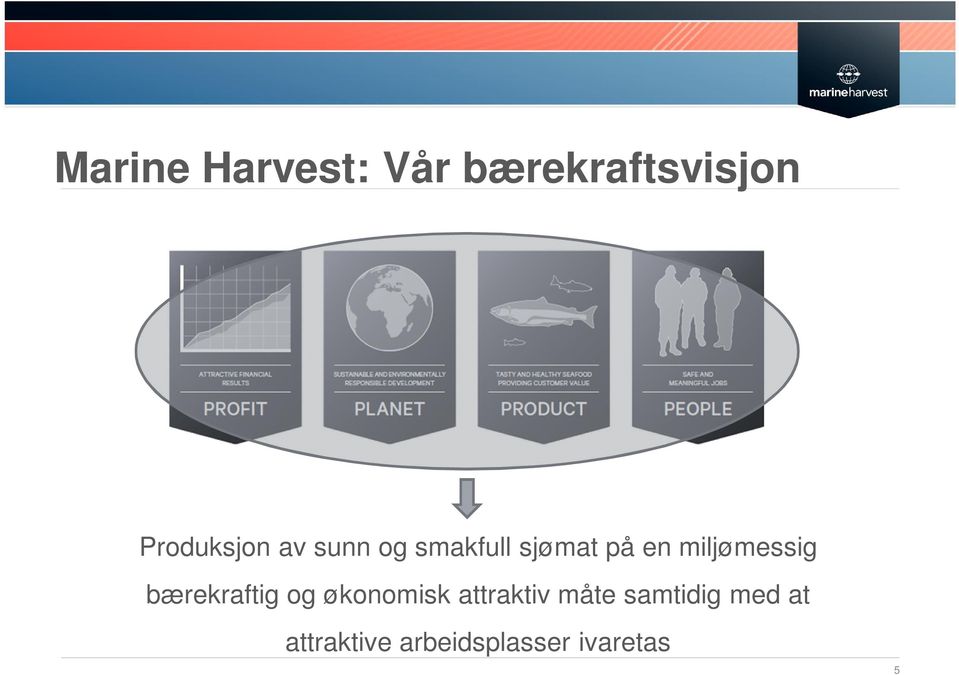 miljømessig bærekraftig og økonomisk attraktiv