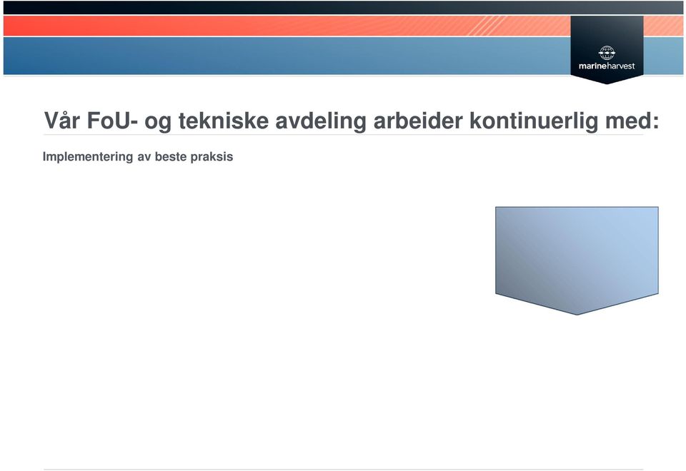 bærekraft Utvikle og opprettholde globale systemer og verktøy Drive MHGs utvikling på bærekraft Best practice manual for Listeria control Wrasse- farming for biological lice control Reducing risks