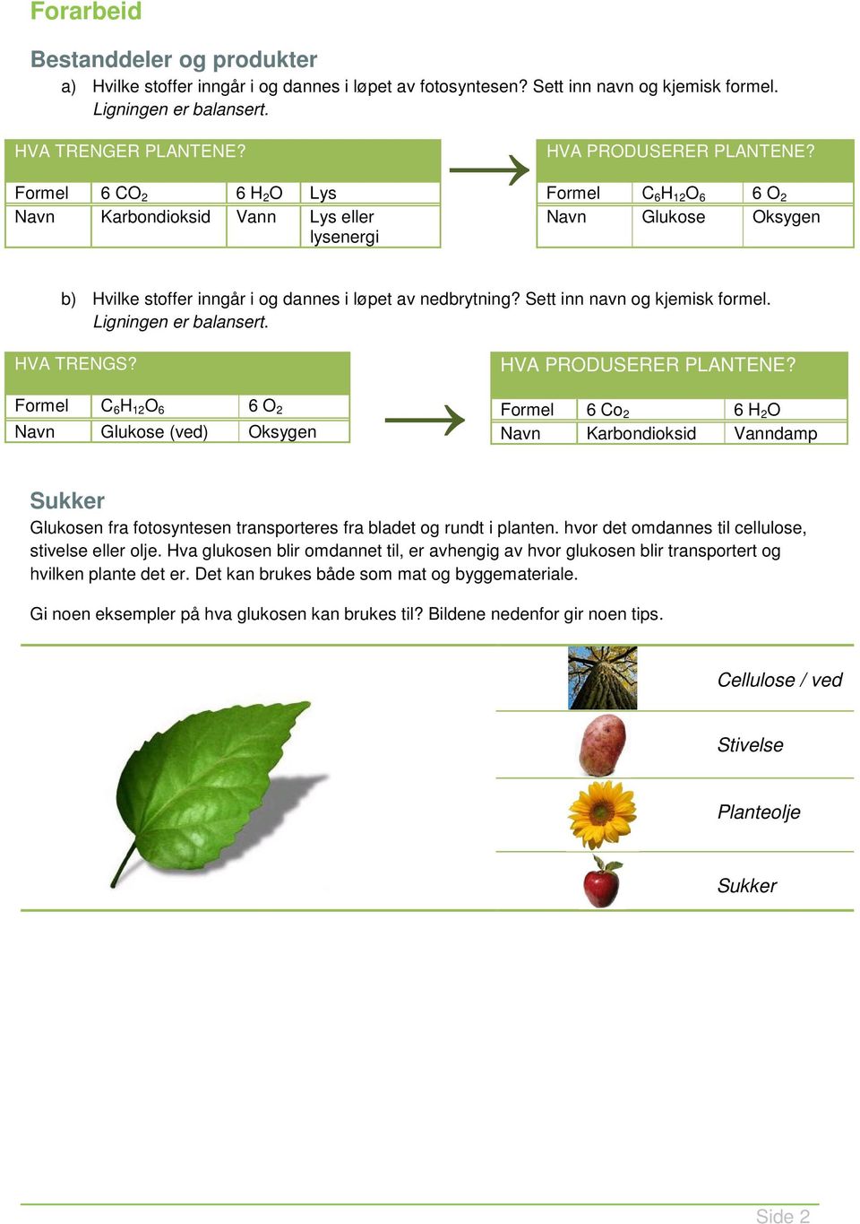 Sett inn navn g kjemisk frmel. Ligningen er balansert. HVA TRENGS? Frmel C 6 H 12 O 6 6 O 2 Navn Glukse (ved) Oksygen HVA PRODUSERER PLANTENE?