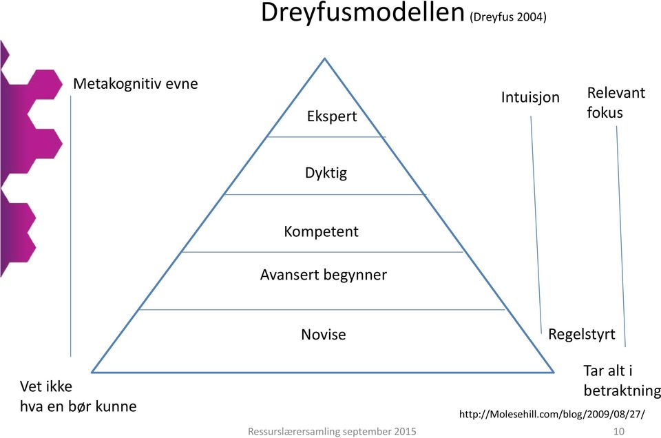 Novise Regelstyrt Vet ikke hva en bør kunne Tar alt i