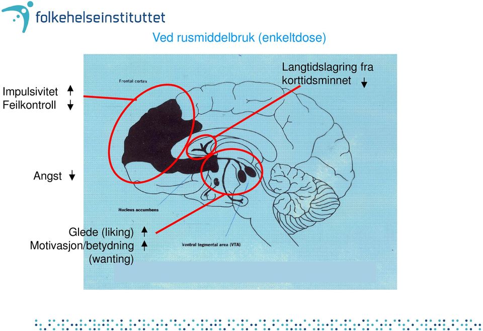 Impulsivitet Feilkontroll Angst